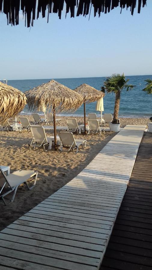 Hili Resort Luxurious Seaside Apartment Alexandrópolis Exterior foto